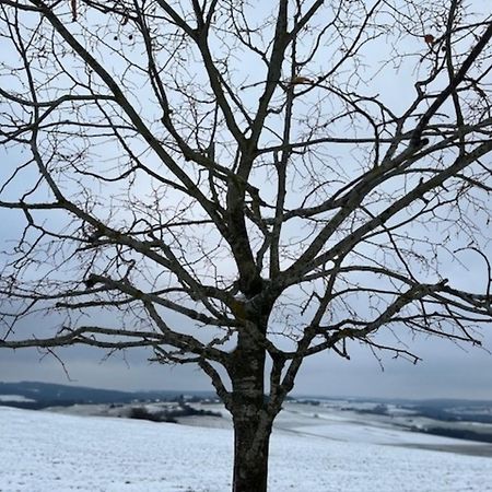 Villa Eifel-Bau-Traum Schlich Wershofen Esterno foto