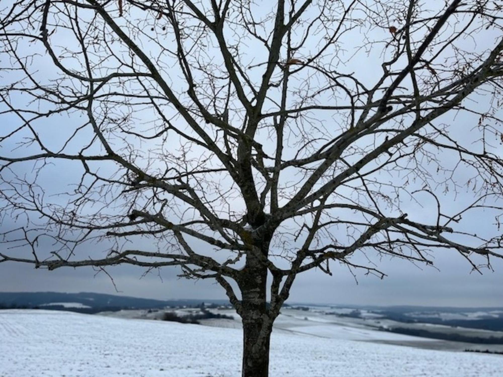 Villa Eifel-Bau-Traum Schlich Wershofen Esterno foto